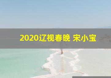 2020辽视春晚 宋小宝